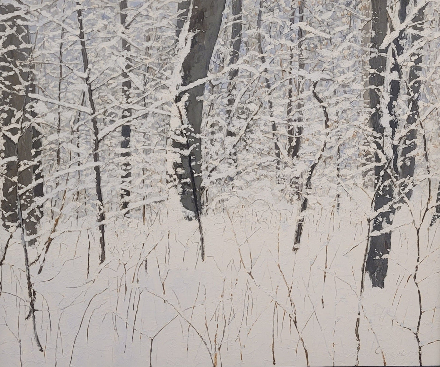 Untitled Snow, Tom Tartaglino