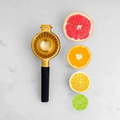 Handheld Citrus Juicer