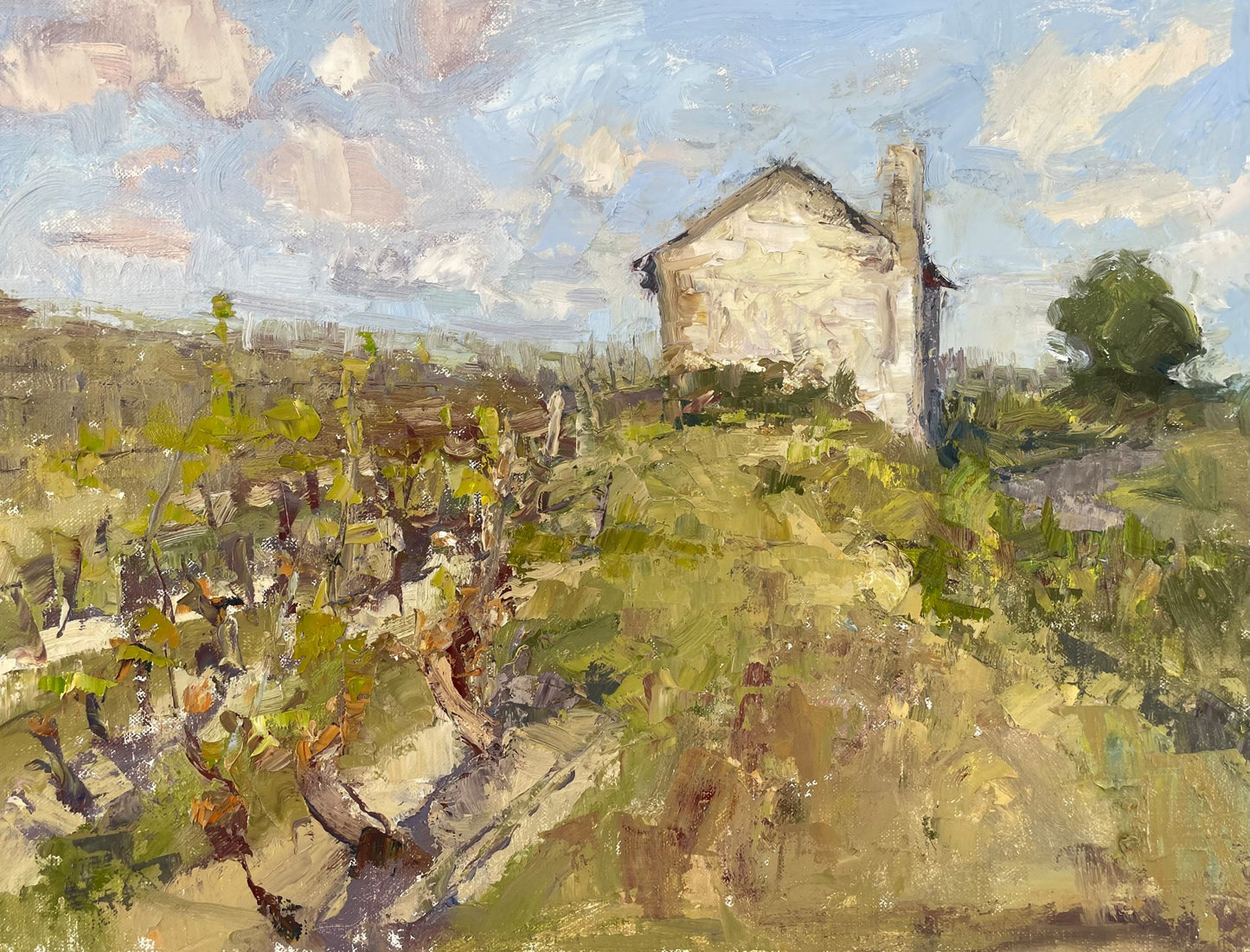 Stone House and Vines, Lynn Mehta