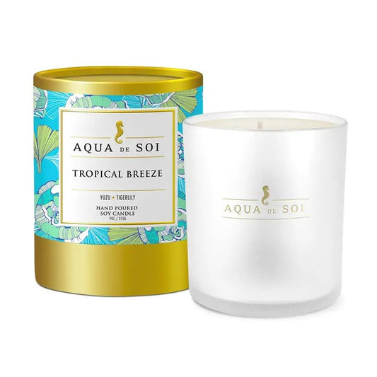 Tropical Breeze 9 oz Luxe Boxed Soy Candle