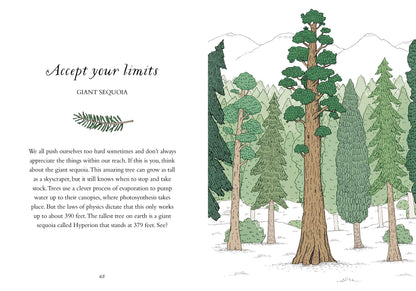 How to Be More Tree: Essential Life Lessons for Perennial Happiness